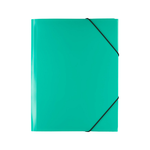 Папка на резинке А5 "Expert Complete" Classic 500 мкм 25 мм песок зеленый ЕС23444513