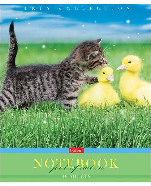 Тетрадь 48 л. кл. "Усы, лапы, хвост" 65г/кв.м 5 диз.в блоке скругл.углы 