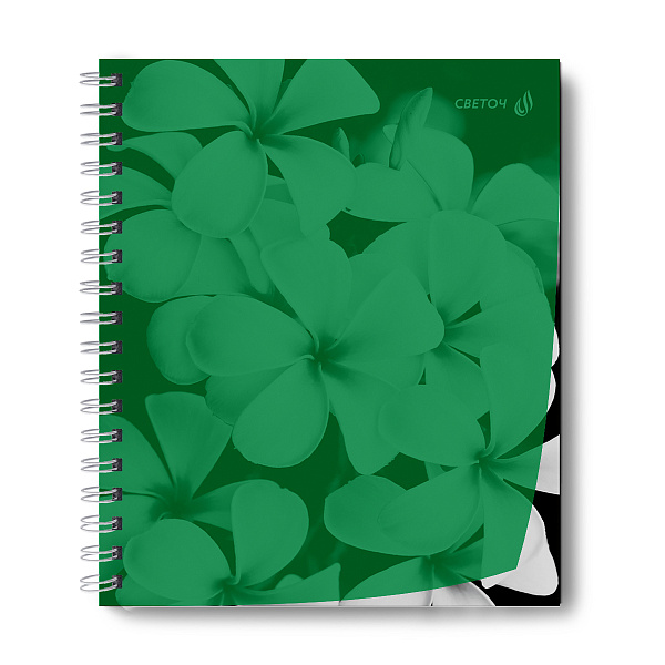 Тетрадь 48 л. кл. на гребне пластик. обложка "Утренний пейзаж, зелёная" ч/б запечат. титульн.лист, 180 мкм., A5 65 г/кв.м , белизна 100%. 01548 "Светоч"