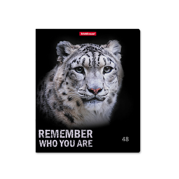 Тетрадь 48 л. кл. "Strong and Brave" матовая ламинация ErichKrause