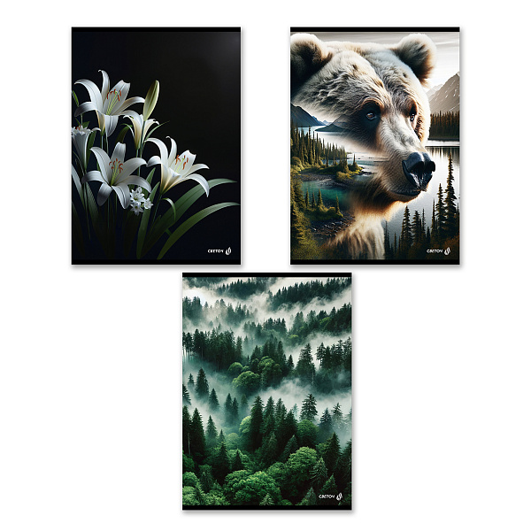 Тетрадь A4 80 л. кл. "Твой край" на скобе 65 г/кв.м , белизна 100 % 01347 "Светоч"