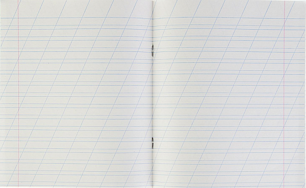 Тетрадь 12 листов в косую линейку «Зелёная обложка», бумажная обложка, серые листы, блок №2, белизна 65%