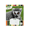 Тетрадь 18 листов в линию "Lemur Style", ErichKrause, ассорти