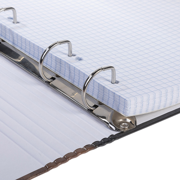 Тетрадь на кольцах А5 120 листов в клетку "Солнечный котик" 60-65г/кв.м с круглым корешком глянц. ламин. в индив.упак.