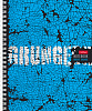 Тетрадь 96 листов в клетку на гребне "Яркий гранж" 65г/кв.м 4 диз.в блоке 