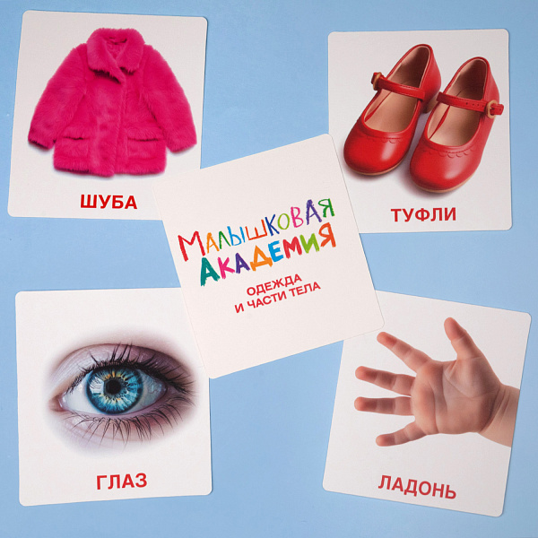 Наглядное Пособие  Развивающие карточки 60шт. "Малышковая Академия"-Одежда и части тела- в карт. короб. с европодвесом