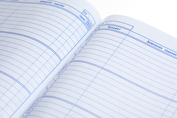 Дневник школьный для 1-11 классов 40 листов твёрдый переплет "Автомотоспорт" А5ф запечат. форзац ламинац.SOFT-TOUCH