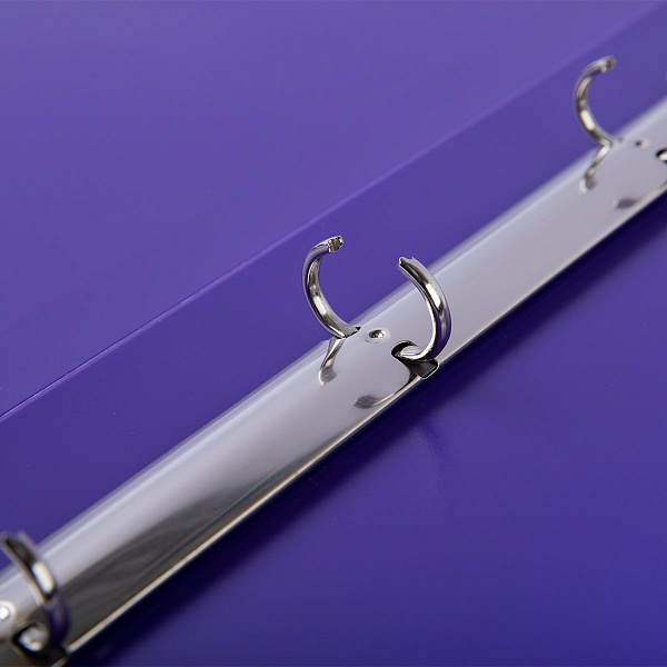 Папка-портфолио на 4 кольцах  A4  700 мкм  25 мм  песок пурпурный "Лео"   "Учись"