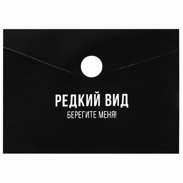 Папка для карт и визиток пластиковая "ФРАЗЫ С ХАРАКТЕРОМ" (полипропилен, 10.5х7.4 см, 1 отделение (-я), кнопка, шелкография в одну краску)