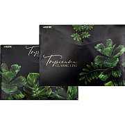 Папка-конверт на кн. А4 "deVENTE. Tropicana" 180 мкм, непрозрачная с рисунком, тиснение фольгой, 2 дизайна ассорти
