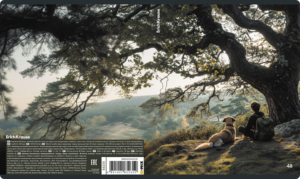 Тетрадь 48 листов в клетку "Friends" глянцевая ламинация  ErichKrause   _MIX-PACK