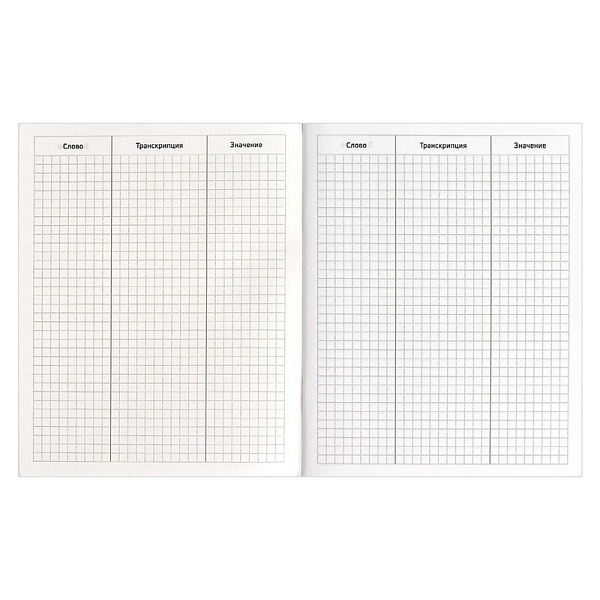 Словарь д/записи иностранных слов "ВЕЧЕРНЕЕ ЗАНЯТИЕ" /А5+, 48 л. обложка - мелованный картон 210 г/м², вн.блок - белый офсет, 65 г/м², мягкий переплёт (2 скобы),