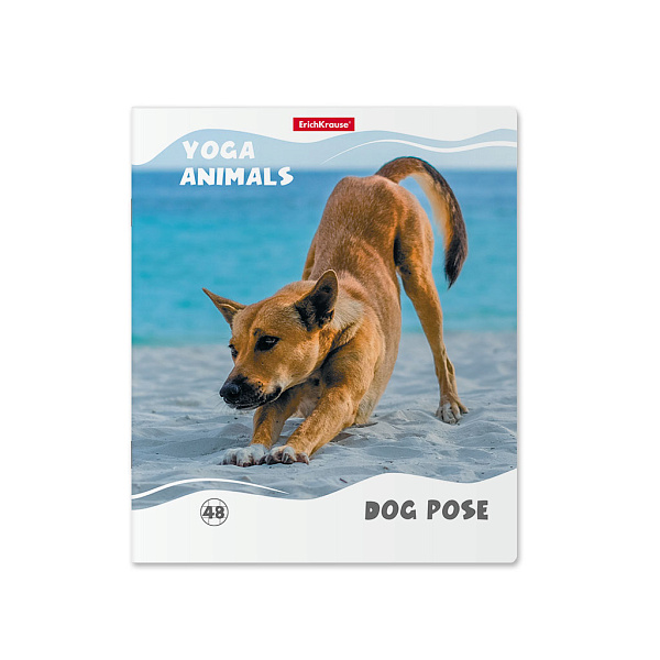 Тетрадь 48 л. кл. "Yoga Style" матовая ламинация ErichKrause _MIX-PACK