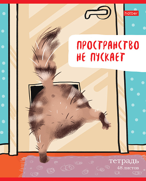 Тетрадь 48 л. лин. "Кот-обормот" 5 диз.в блоке скругл.углы 65г/кв.м 