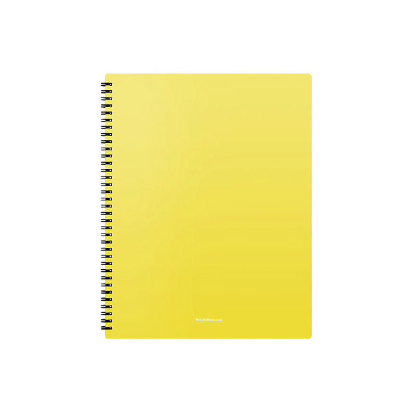 Папка файловая пластиковая на спирали ErichKrause® Matt Neon, с 20 прозрачными карманами, A4, ассорти (в пакете по 4 шт.)