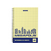 Тетрадь 80 листов в клетку на спирали ErichKrause MEGAPOLIS® Yellow Concept, А5, желтый внутренний блок