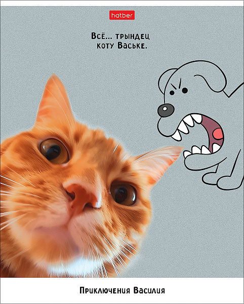 Тетрадь 48 л. кл. "Приключения Василия" 5 диз.в блоке скругл.углы