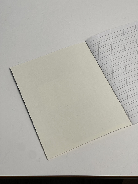 Тетрадь 12 листов в косую линию ЧЕРНАЯ, обложка из мелованного картона (200г/м2), блок офсет (92%, 60г/м2)