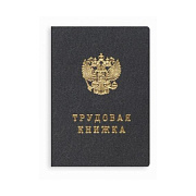 Бланк "Трудовая книжка" без голограммы