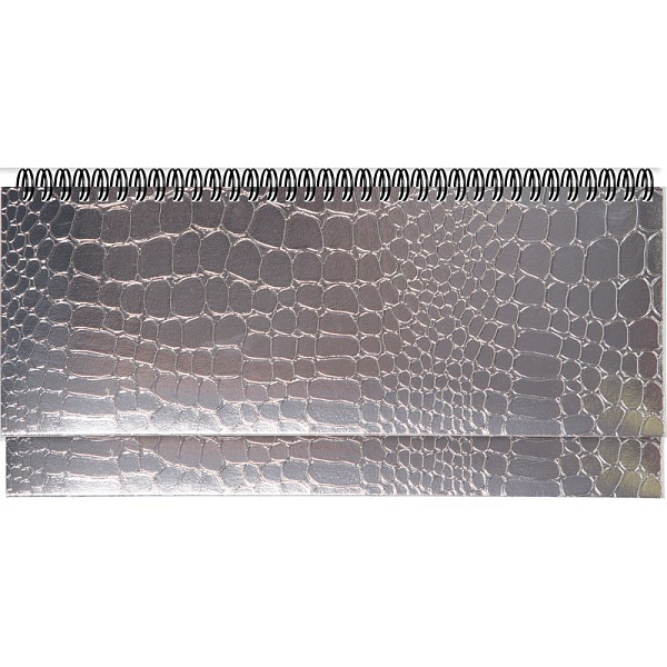 Планинг 2027 "Attomex. Arkona" (294 ммx142 мм) 128 стр, серебристый, белая бумага 70 г/м² в линейку, печать в 1 краску, твердая обложка из бумвинила с поролоном, евро спираль, в термоусадочной пленке,
