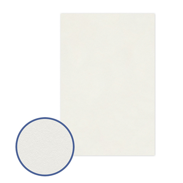 Картон грунтованный "VISTA-ARTISTA" 10 х 15 см  .