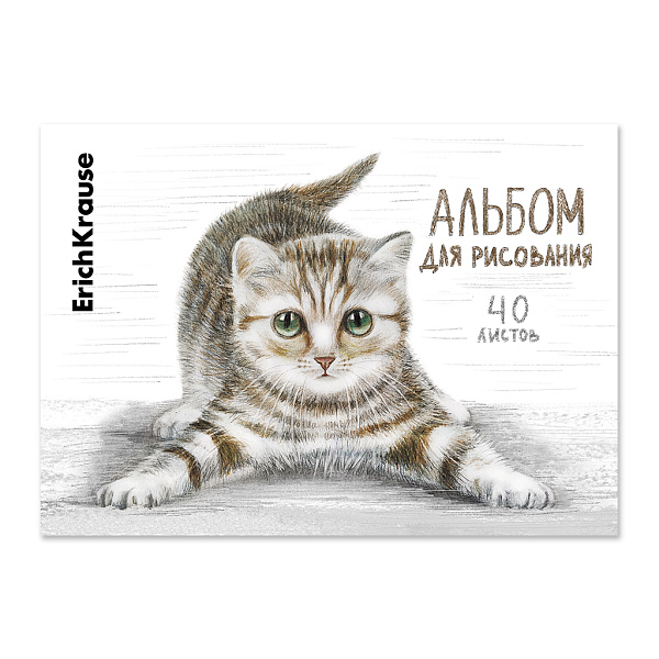 Альбом д/рис. 40 л. на клею ErichKrause Tabby, А4