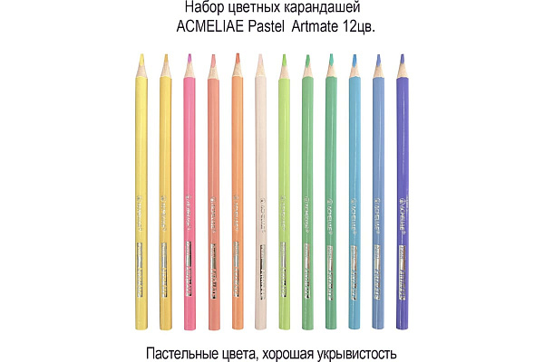 Карандаши 12 цв. ACMELIAE Pastel Artmate пастель в картонном футляре,