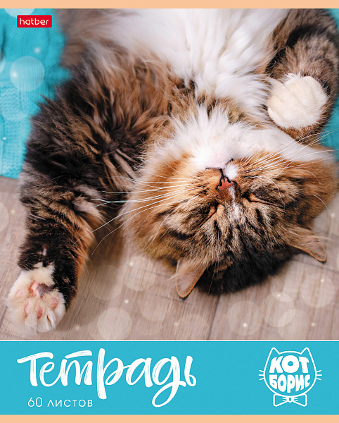 Тетрадь А5 60 листов в клетку, "Кот Борис", обложка мелованный картон, 60 г/м2