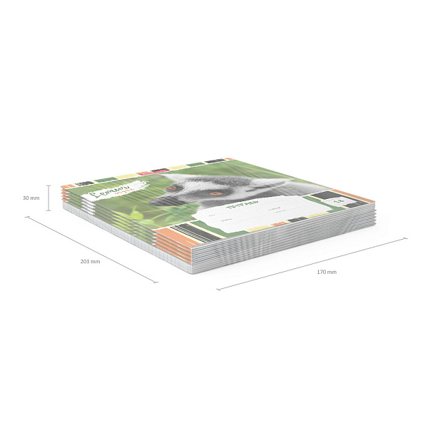 Тетрадь 18 листов в линию "Lemur Style", ErichKrause, ассорти