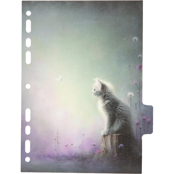 Разделитель листов "deVENTE. Cat Story" A5 (160x210 мм) полипропилен 140 мкм, искрящаяся фактура, с рисунком, 5 шт, индивидуальная упаковка