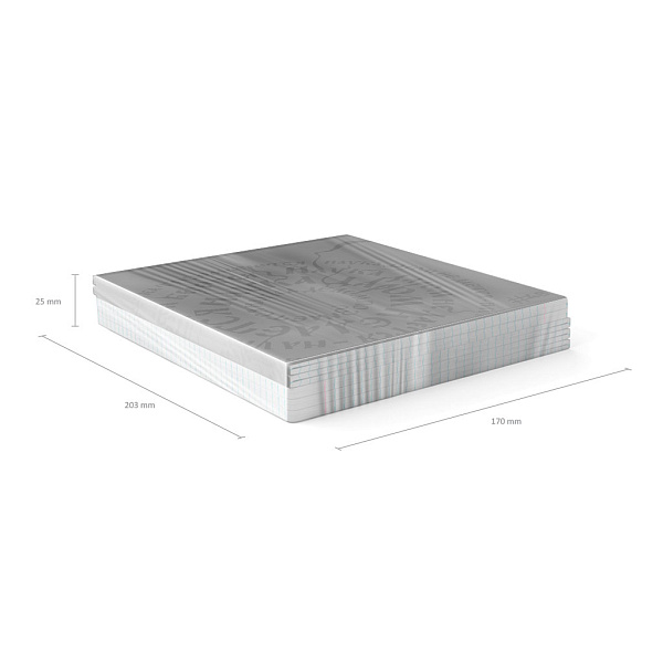 Тетрадь 48 л. кл. "Lettering твин-лак_MIX-PACK ErichKrause 