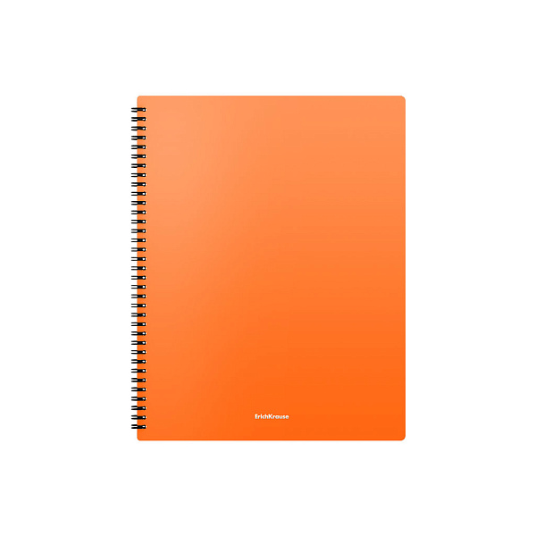 Папка файловая пластиковая на спирали ErichKrause® Matt Neon, с 20 прозрачными карманами, A4, ассорти (в пакете по 4 шт.)