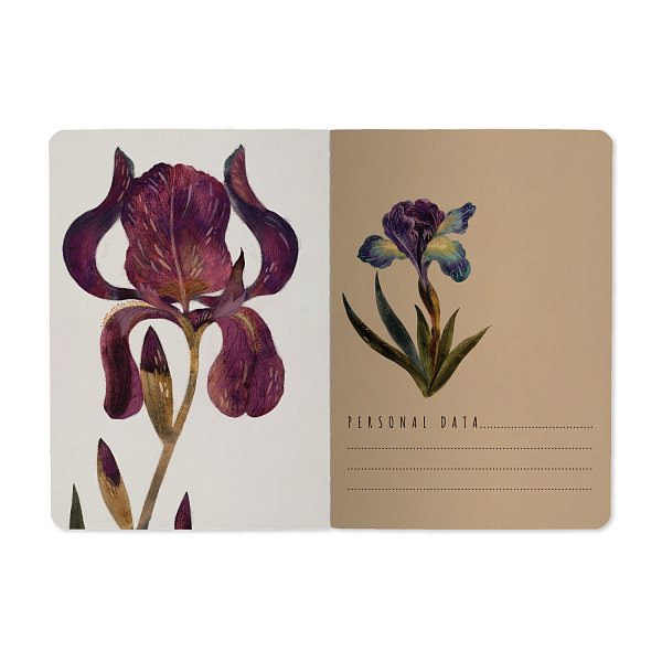 Тетрадь BV А6 32 л. лин. "FLORA.Ирисы" Bruno Visconti 
