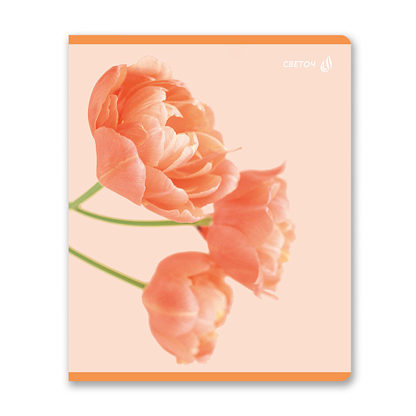 Тетрадь 96 л. кл. "Абрикосовый краш" матовая ламинация, A5 на скобе 65 г/кв.м , белизна 100%. 01005 "Светоч"