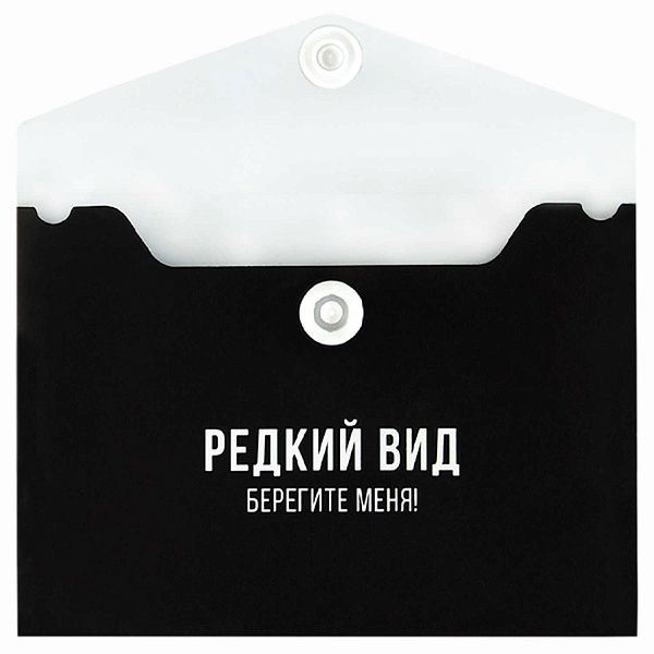 Папка для карт и визиток пластиковая "ФРАЗЫ С ХАРАКТЕРОМ" (полипропилен, 10.5х7.4 см, 1 отделение (-я), кнопка, шелкография в одну краску)