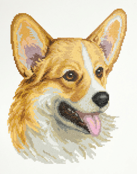 Алмазная мозаика 30*35 "ФРЕЯ" "Веселый вельш-корги"