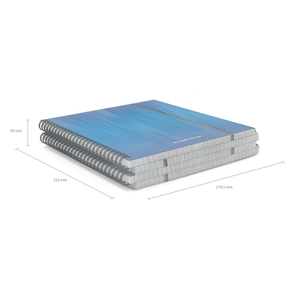 Тетрадь А5 80 л. кл. с пластиковой обложкой на спирали ErichKrause Ice Metallic, ассорти, на резинке