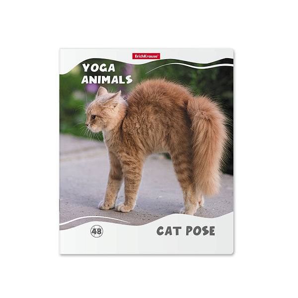 Тетрадь 48 л. кл. "Yoga Style" матовая ламинация ErichKrause _MIX-PACK