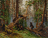 Алмазная мозаика 50*40 "ФРЕЯ" на подрамнике "Утро в сосновом лесу. Иван Шишкин"