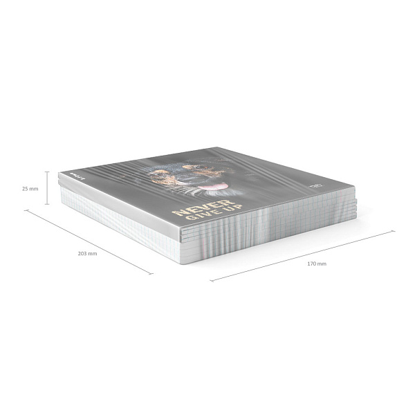 Тетрадь 96 листов в клетку "Собаки", матовая ламинация ErichKrause _MIX-PACK