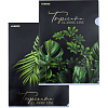 Папка-уголок А4 "deVENTE. Tropicana" 180 мкм, непрозрачная с рисунком, тиснение фольгой, 2 дизайна ассорти