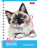 Записная книжка А6 140 л. кл. на гребне "Котики бывают разными"