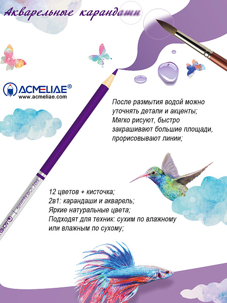 Карандаши 24 цв. акварельные ACMELIAE + кисточка, 9401-24