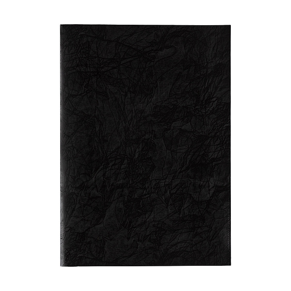 Папка - уголок А4 (2 кармана) "Expert Complete" Premier 180 мкм волокно черный new