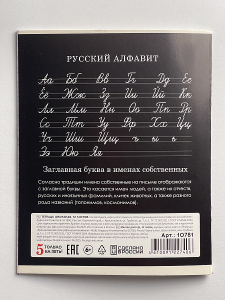 Тетрадь 12 листов в косую линию ЧЕРНАЯ, обложка из мелованного картона (200г/м2), блок офсет (92%, 60г/м2)