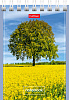 Блокнот А7 40 листов в клетку на гребне, "Великолепные пейзажи", обложка мелованный картон, 60 г/м2