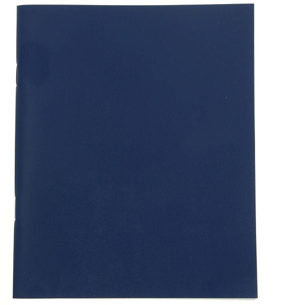 Тетрадь 48 листов, клетка, обложка бумвинил синий, блок №2