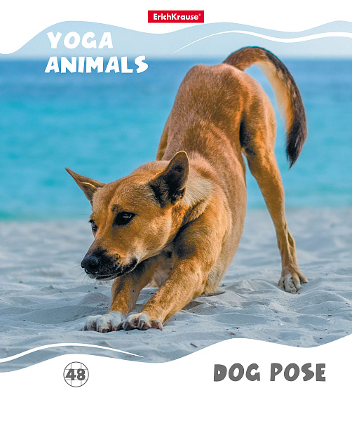 Тетрадь 48 л. кл. "Yoga Style" матовая ламинация ErichKrause _MIX-PACK