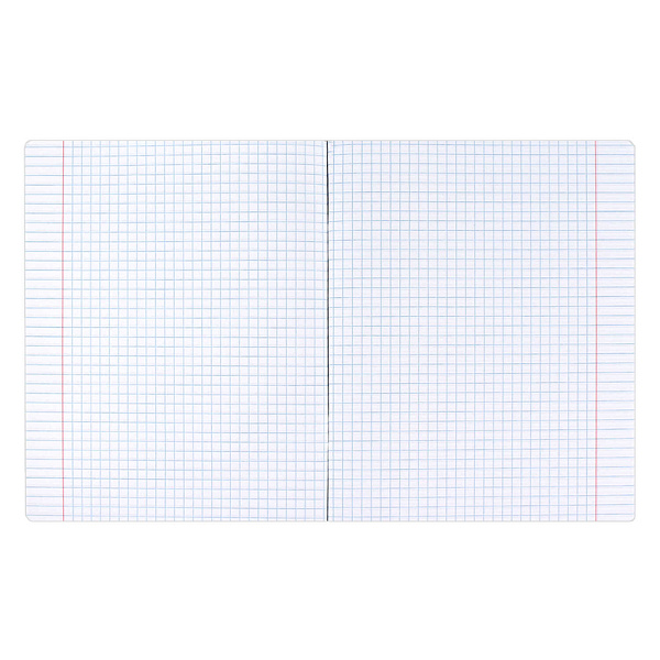 Тетрадь 48 л. кл. "МИЛАЯ ГОТИКА" мягкий переплёт (2 скобы), обложка - выборочный ТВИН лак, мелованный картон 190 г/м², Упаковка Ассорти/