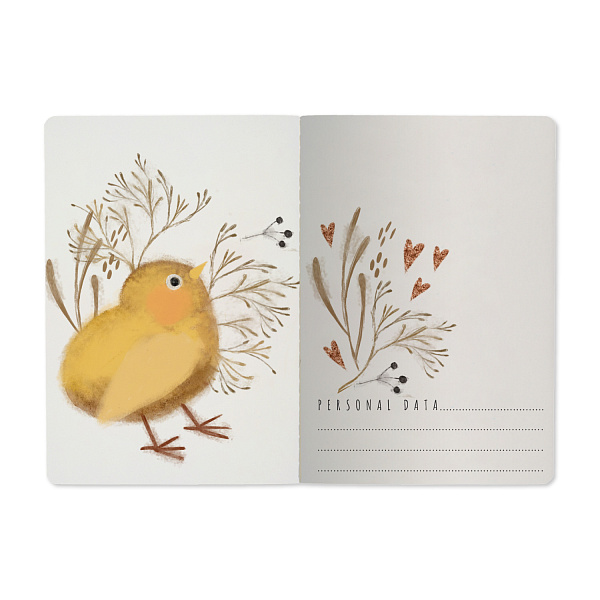 Тетрадь BV А5 40 л. кл. "ЛЮБОВЬ, КАК ОНА ЕСТЬ" А5, Bruno Visconti 